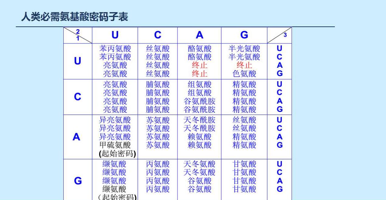 dnastar說明書_桃花源記寶寶打書說明_dnastar的product key