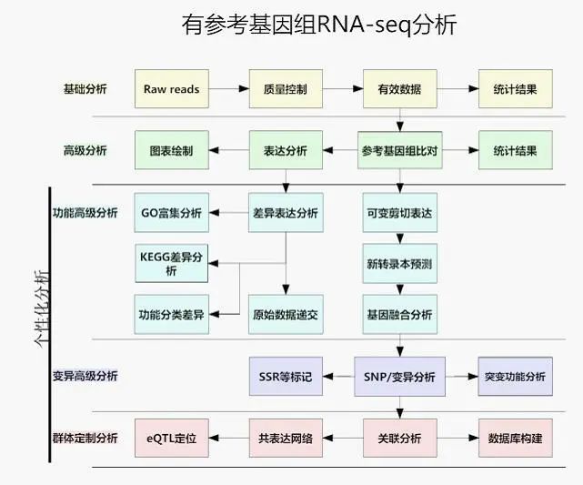 dnastar拼接序列_dnastar拼接序列_dna man序列拼接方法