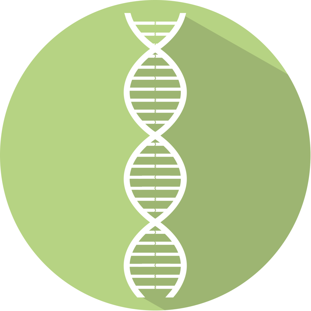 ncbi blast序列比對_dnastar序列比對_dnastar序列比對說明