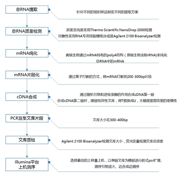 ncbi序列比對(duì)_dnastar序列比對(duì)_序列比對(duì)名詞解釋