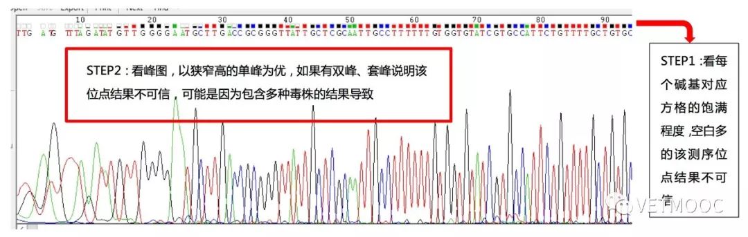 dnaman序列比對(duì)_ncbi blast序列比對(duì)_dnastar序列比對(duì)