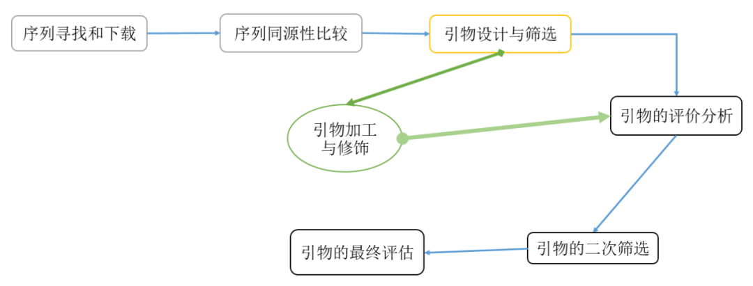 引物設計的六大原則_dnastar引物設計_引物設計軟件primer