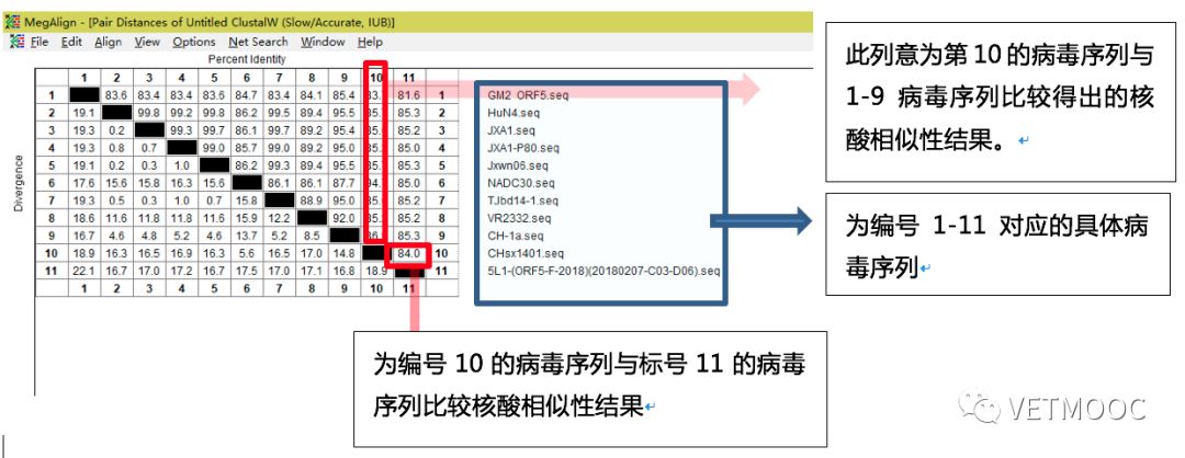 dnastar序列比對_序列比對名詞解釋_序列比對軟件