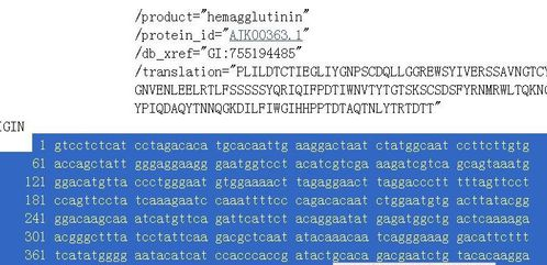 序列拼接軟件有哪些_dnastar拼接序列_序列拼接是什么意思