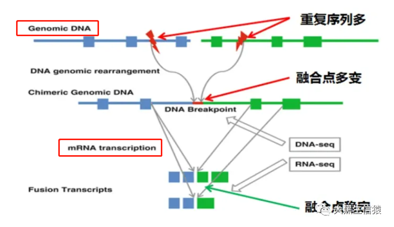 dnastar序列比對_序列比對結(jié)果如何分析_序列比對算法