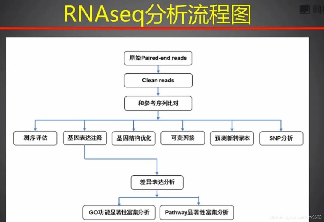 dnastar序列比對_序列比對算法_序列比對結果如何分析