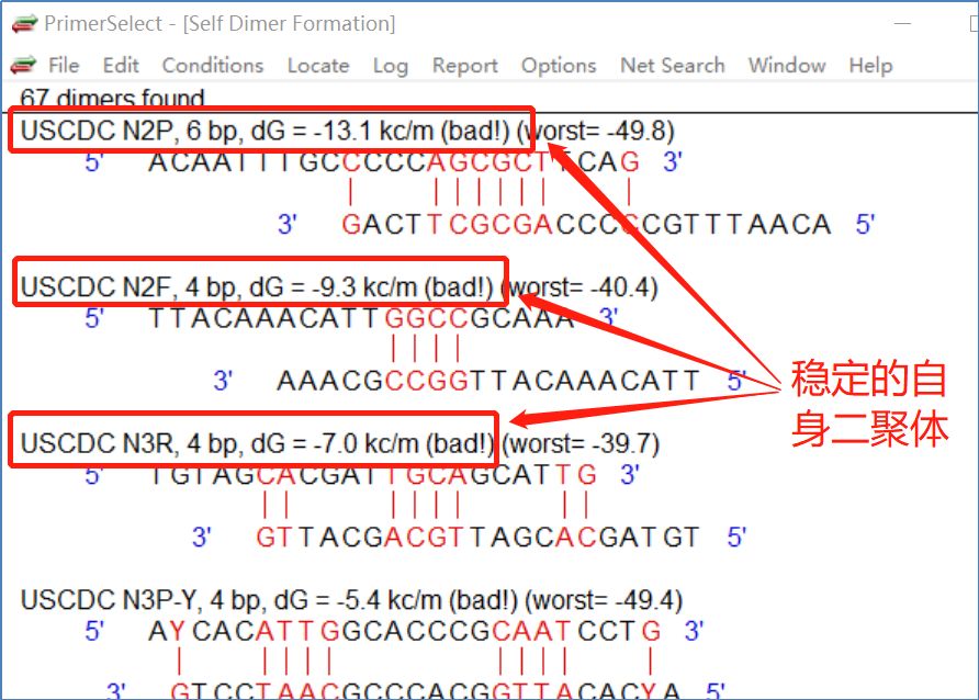 dnastar引物設(shè)計(jì)_引物設(shè)計(jì)方法_引物設(shè)計(jì)原則和注意事項(xiàng)